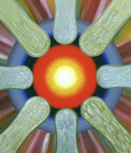 Mandala Seelenbild m-450x524_030.jpg
