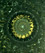 Mandala Thumbnail 035